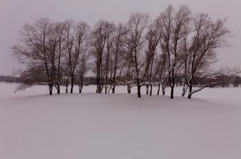  Pushkin Park - after the snow 